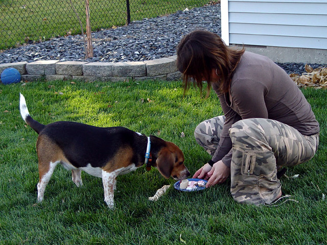 Arnold's Ice Cream and Cookie