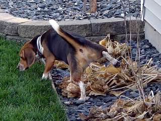 Arnold - Arnold was the only man there