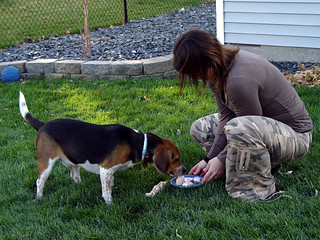 Arnold - Arnold's Ice Cream and Cookie