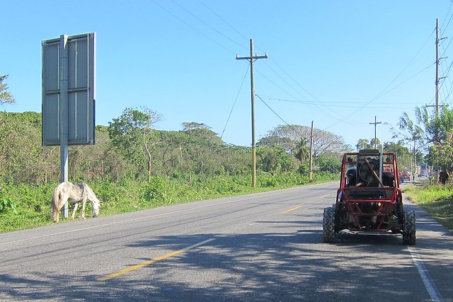 Cruising down the highway... past a tied up horse
