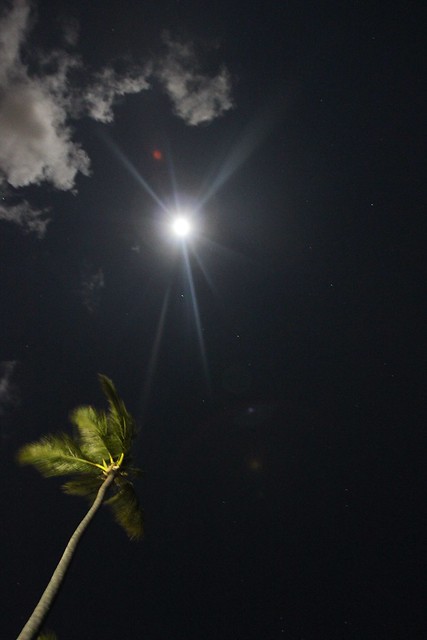 Goodnight, Dominican Republic