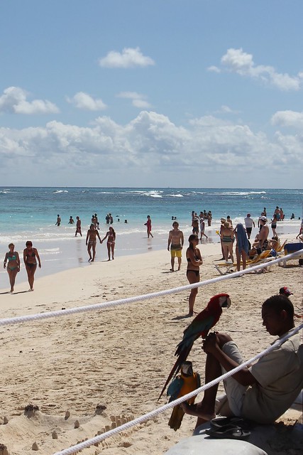 First morning at the beach