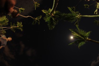 Space - Exposed night sky