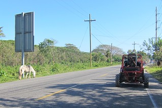 Cruising down the highway... past a tied up horse