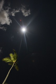 Goodnight, Dominican Republic