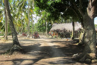 Driving through the typical house lot