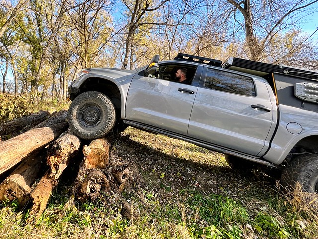 Steve playing on the log pile