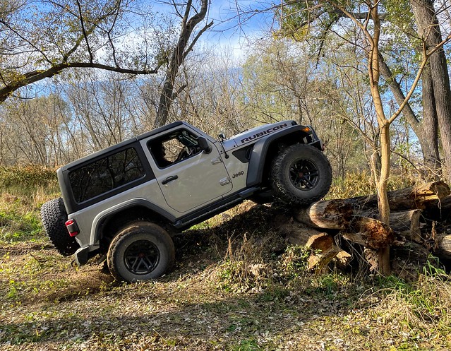 I love, love, love, love, love, love, poppin a wheelie!