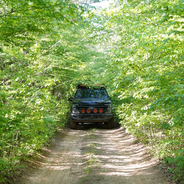 Another tight fit for Cullen