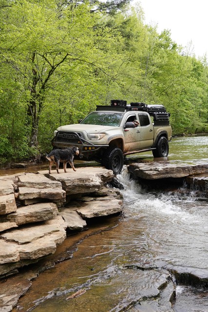 Back to the campsite