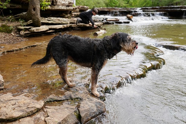 Enjoying these ozark streams