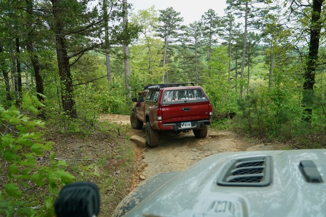 Drivin through the forest