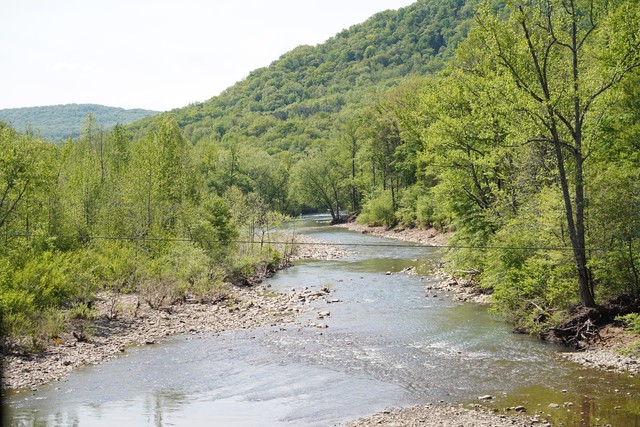 Stream from the bridge