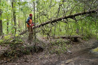 Jordan's chainsaw came in very handy