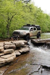 Back to the campsite