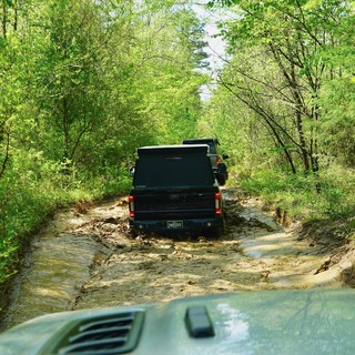 A swampy little trail