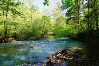 Ozark waters