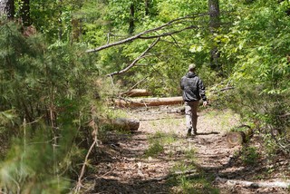 Checkin out the trail