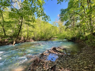 Stream by the campsite