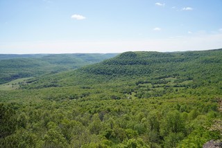 Ozark NF