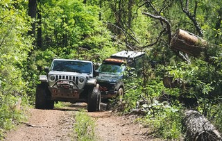 Rollin through the forest