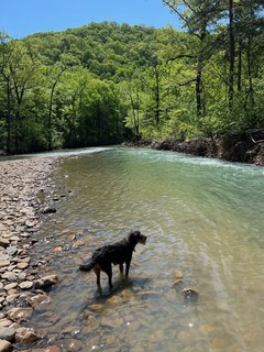 Enjoying the scenery