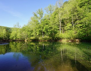 Water outside of our campsite