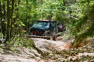 Big trucks in the forest
