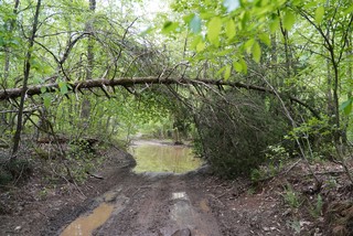 Cleanup on aisle 9, please