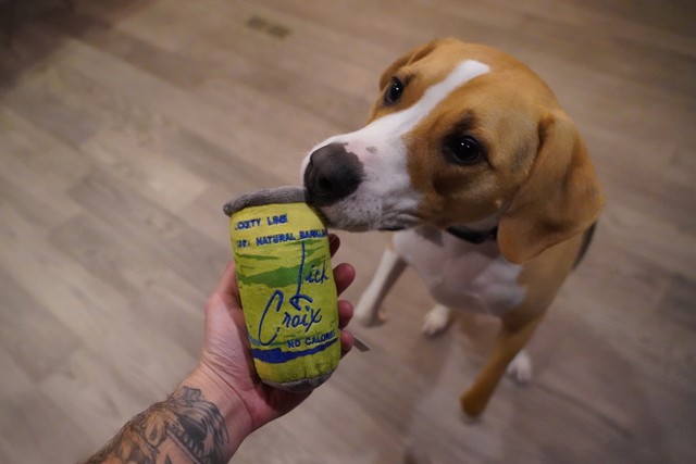 La croix boi