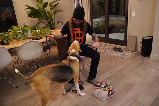 Ooooo, your mom bought you another leash