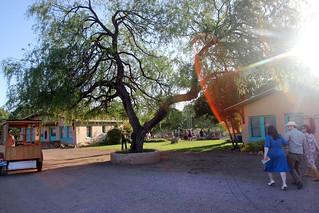 Walking to the reception