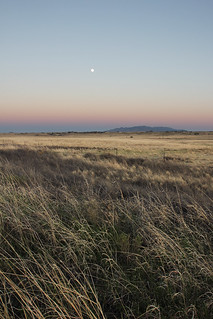 Sunset - Desert Sunset