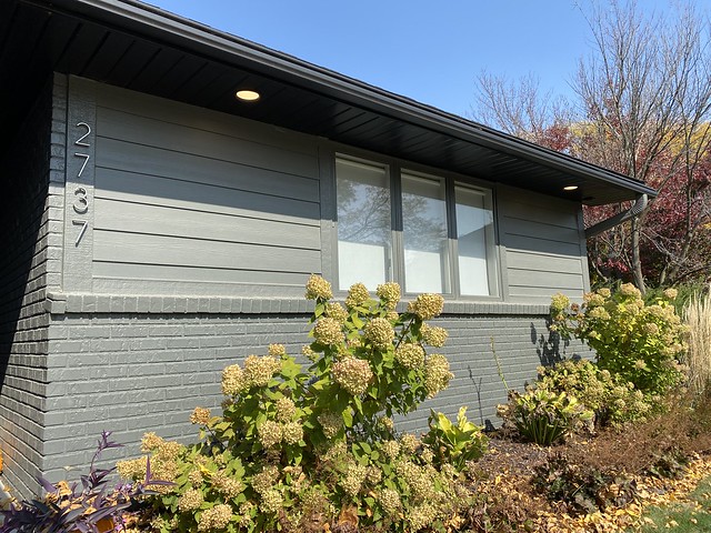 Just added these accent lights to the front of the house.