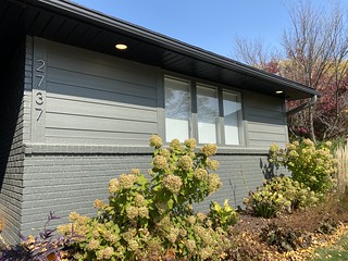 Just added these accent lights to the front of the house.