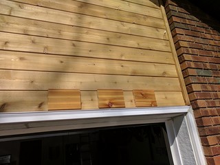 Sampling some cedar colors