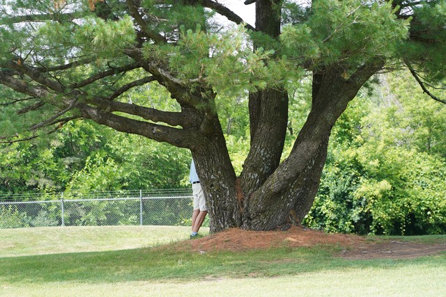 What's goin on over there?