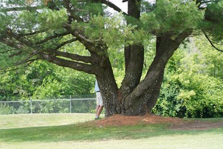 What's goin on over there?