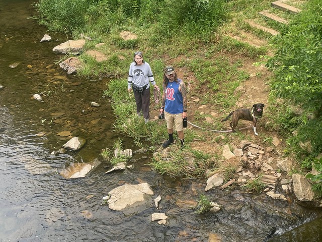 Checkin out the stream