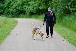 Finding weird bugs to stomp