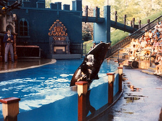 Travel - At Sea World