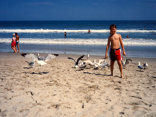 Travel - Seagulls at Cocoa Beach