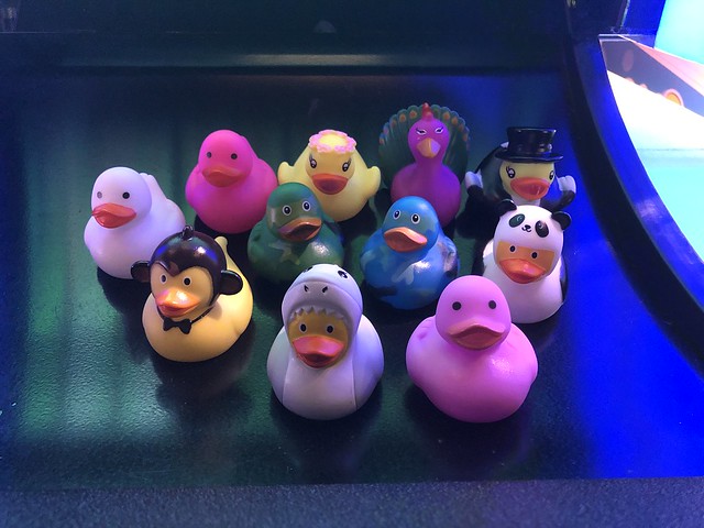 florida-boyz-2020-38353