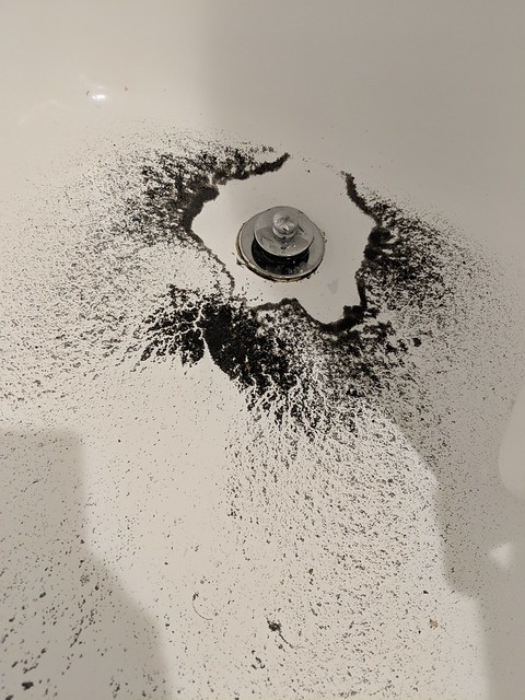 The shower drain as soon as we got into our hotel room