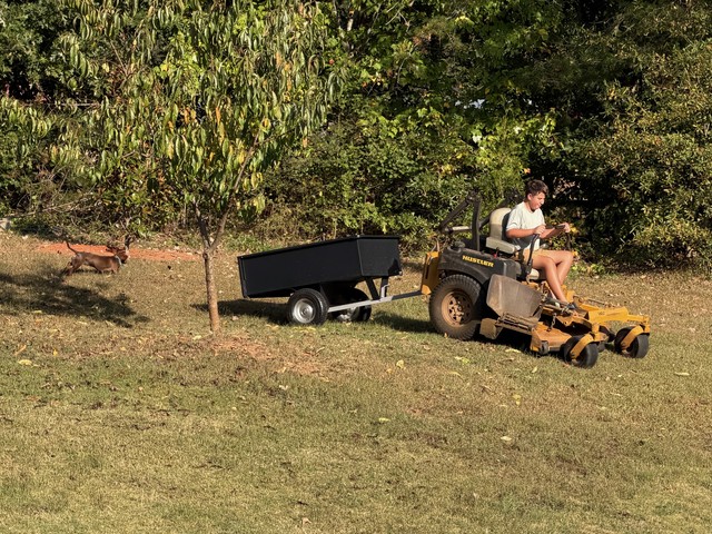 David hard at work while Oscar chases