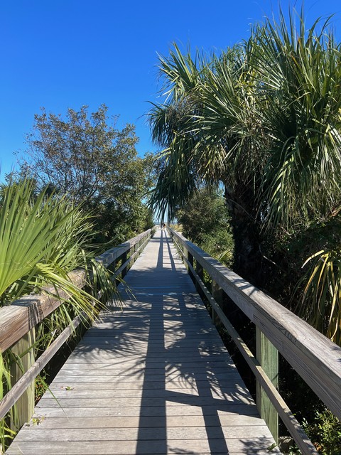 Headin out to the North Beach at Tybee Island