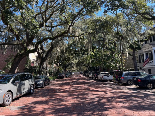 The way that the old, moss covered trees made canopies over the brick streets was so cool.