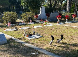 The way this grave was decorated for Halloween, lol
