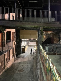 This dude looked cool from up here