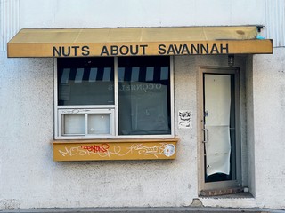 Nuts about Savannah
